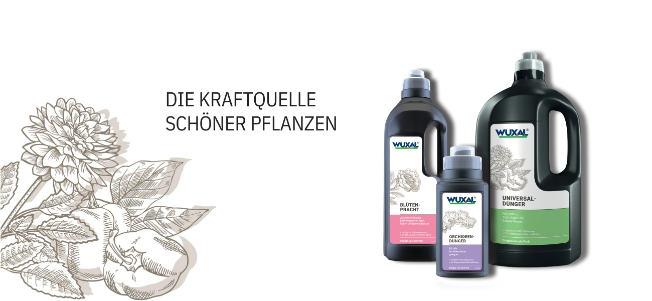 Blog Wuxal Die Kraftquelle schöner Pflanzen GBC Österreich