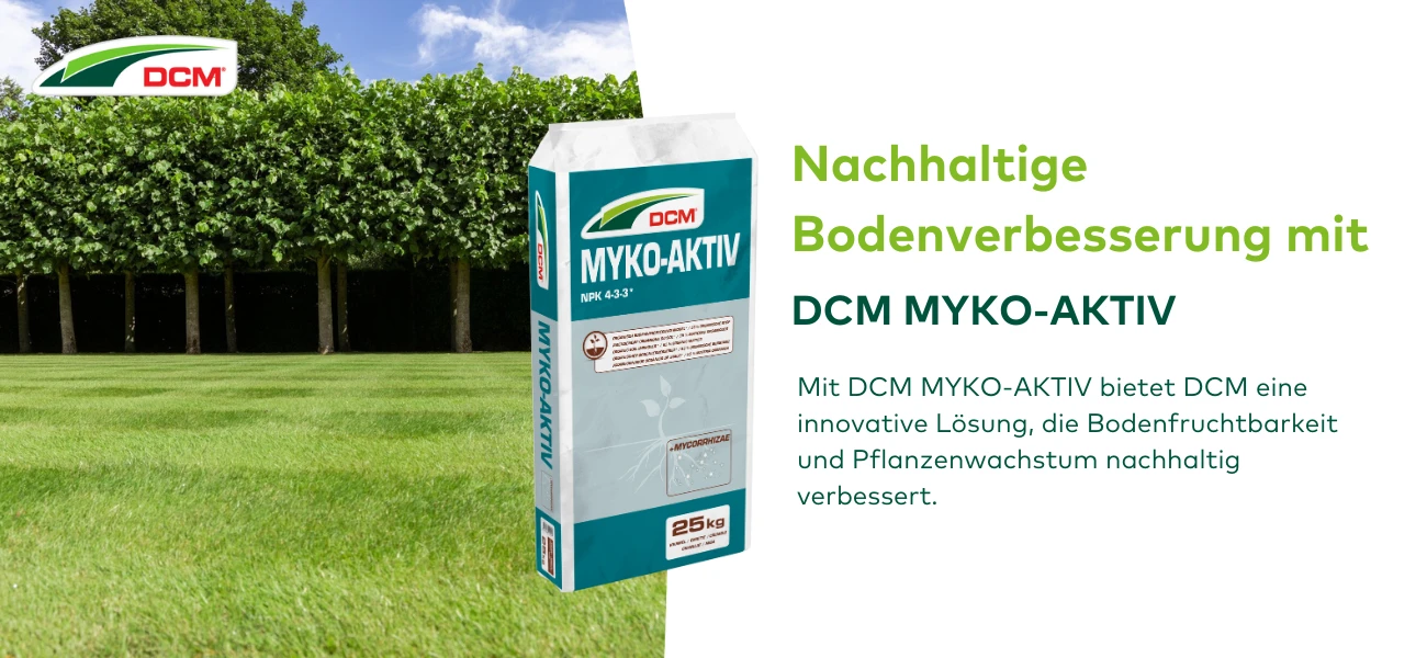 Blog Myko aktiv CUXIN DCM GBC Österreich