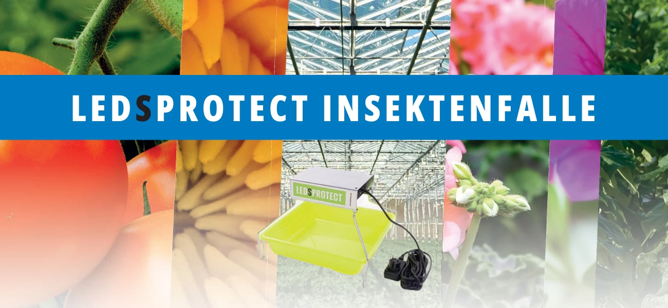 Blog LedsProtect Insektenfalle GBC Österreich